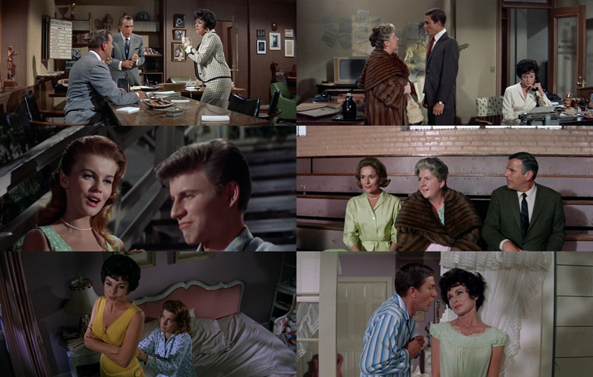 Download Bye Bye Birdie (1963) Hindi-English BluRay 480p 720p 1080p