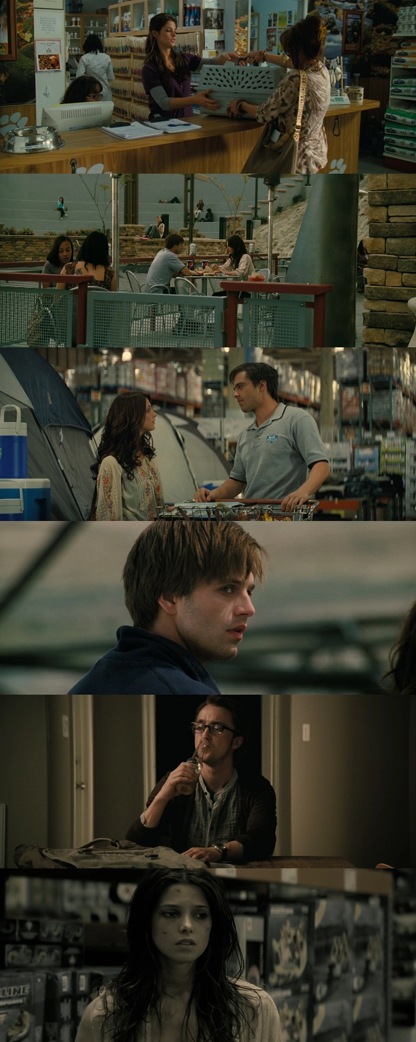 Download The Apparition (2012) Hindi-English BluRay 480p 720p 1080p