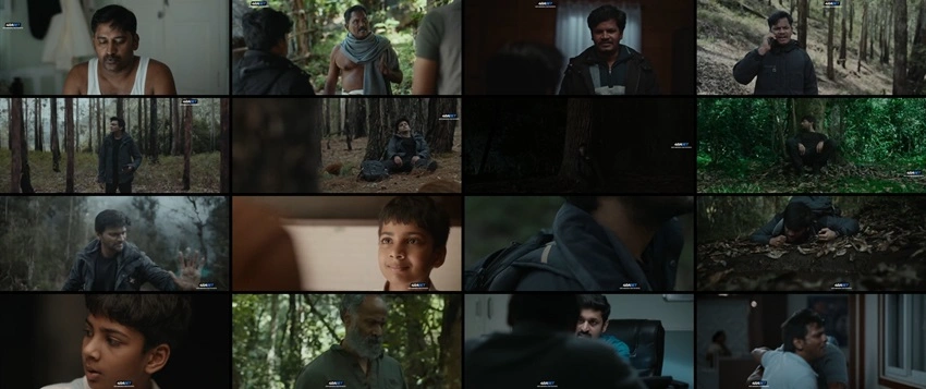 Download Photographer (2026) Hindi Dubbed WEBRip 480p 720p 1080p