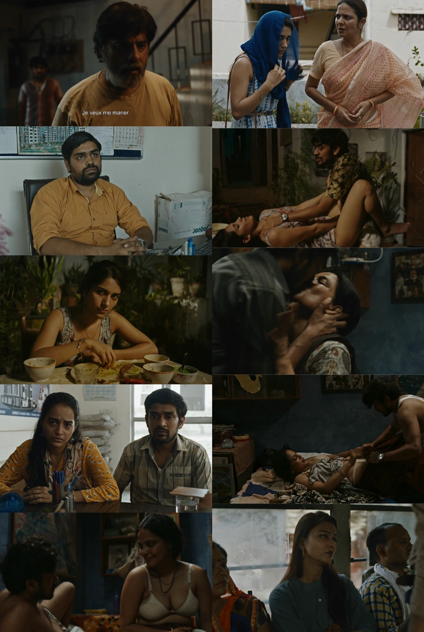Download Agra (2025) Hindi DD5.1 WEB-DL 480p 720p 1080p