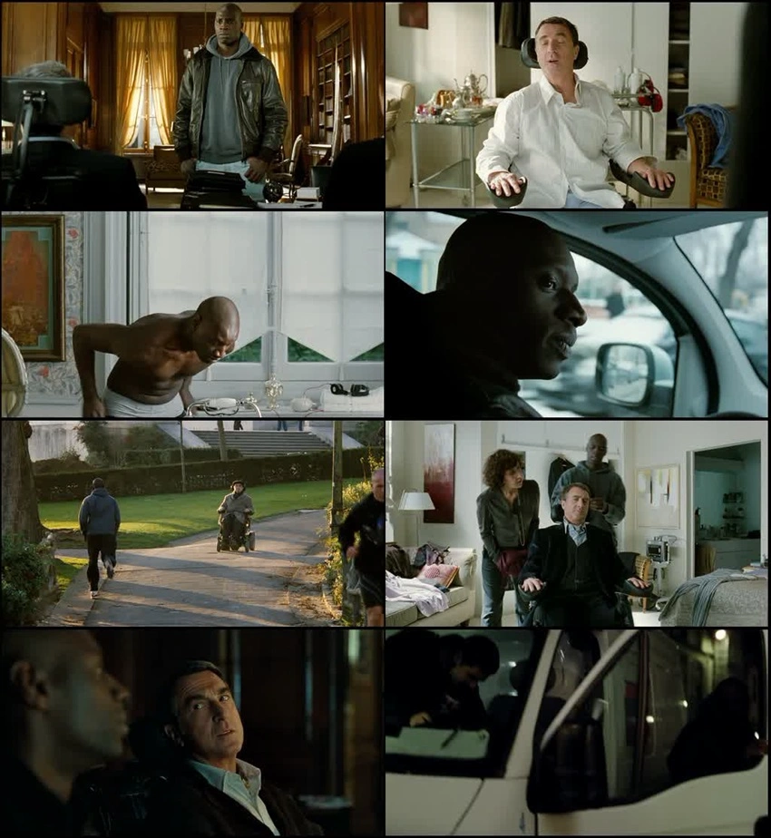 Download The Intouchables (2011) Hindi & English WEB-DL 480p 720p 1080p