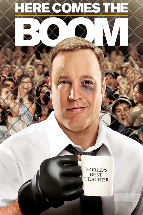 Download Here Comes the Boom (2012) Hindi-English BluRay 480p 720p 1080p
