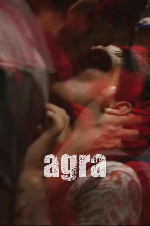 Download Agra (2025) Hindi DD5.1 WEB-DL 480p 720p 1080p
