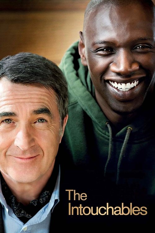 Download The Intouchables (2011) Hindi & English WEB-DL 480p 720p 1080p
