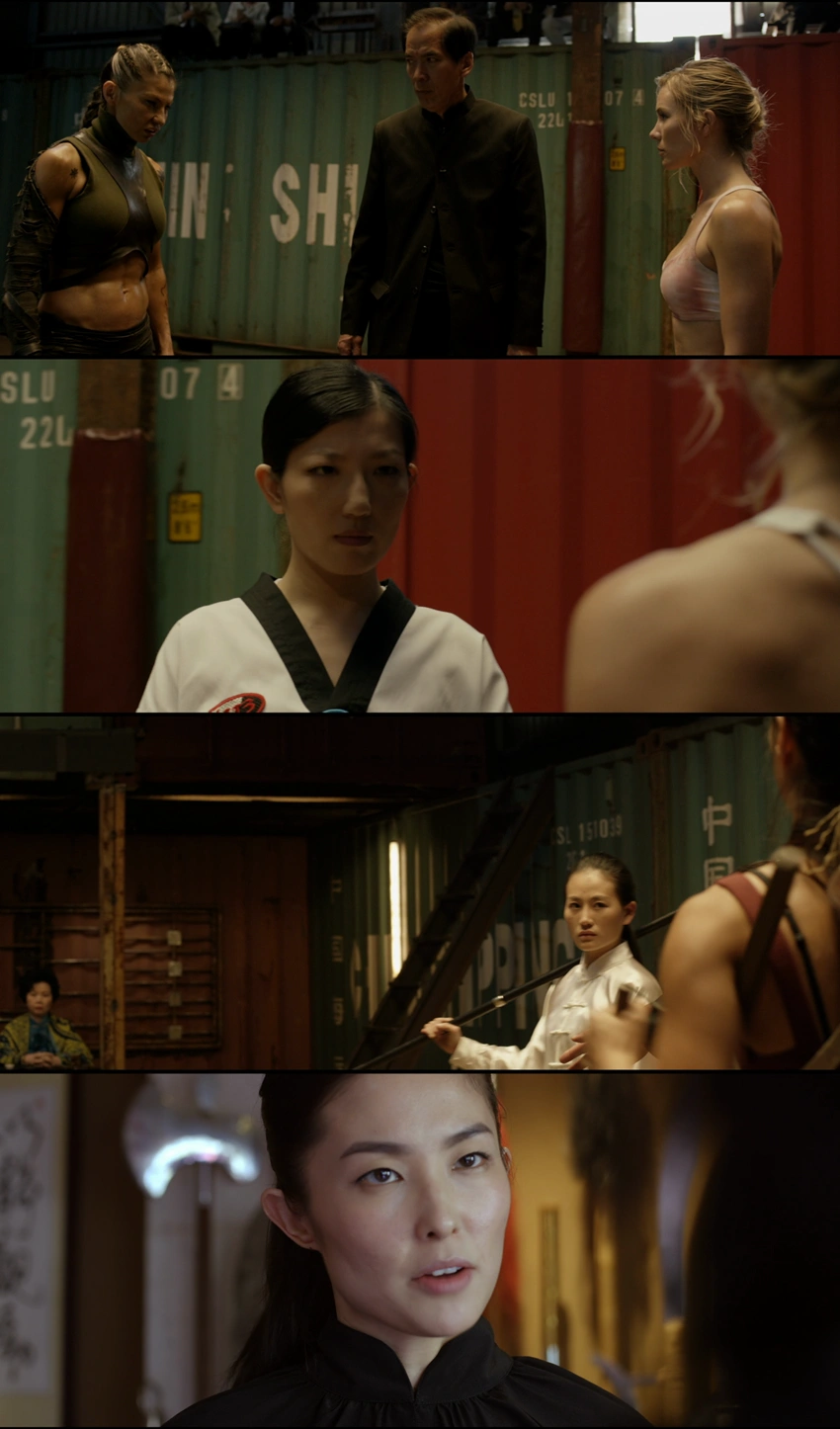Download Lady Bloodfight (2016) Hindi-English BluRay 480p 720p 1080p
