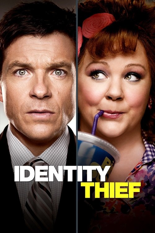 Download Identity Thief (2013) Hindi & English BluRay 480p 720p 1080p