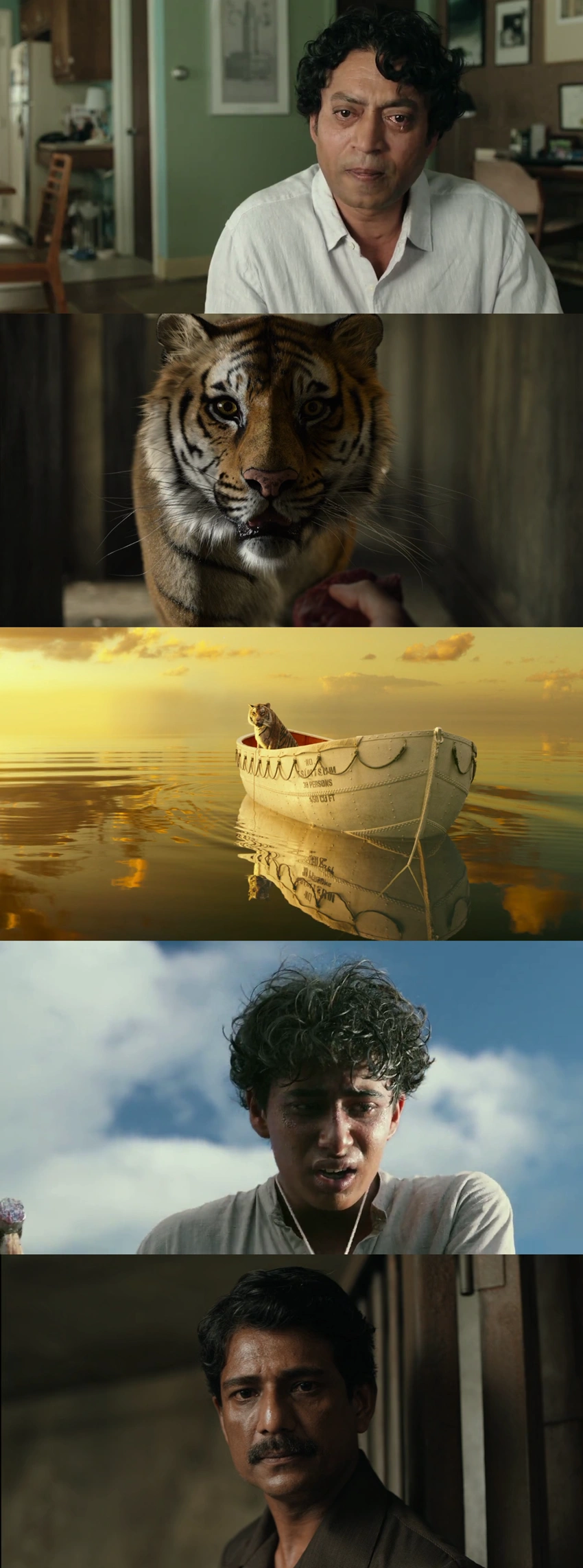 Download Life of Pi (2012) Hindi + English BluRay 480p 720p 1080p