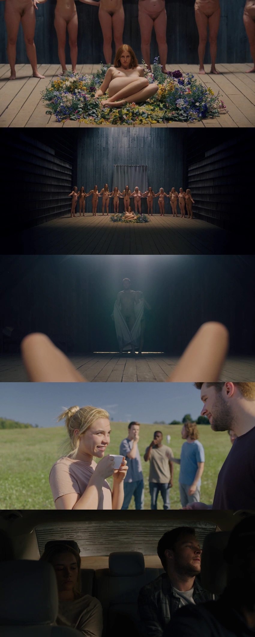 Download Midsommar (2019) Hindi ORG + English BluRay 480p 720p 1080p