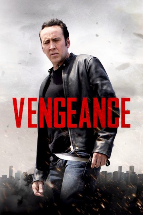Download Vengeance: A Love Story (2017) Hindi-English BluRay 480p 720p 1080p