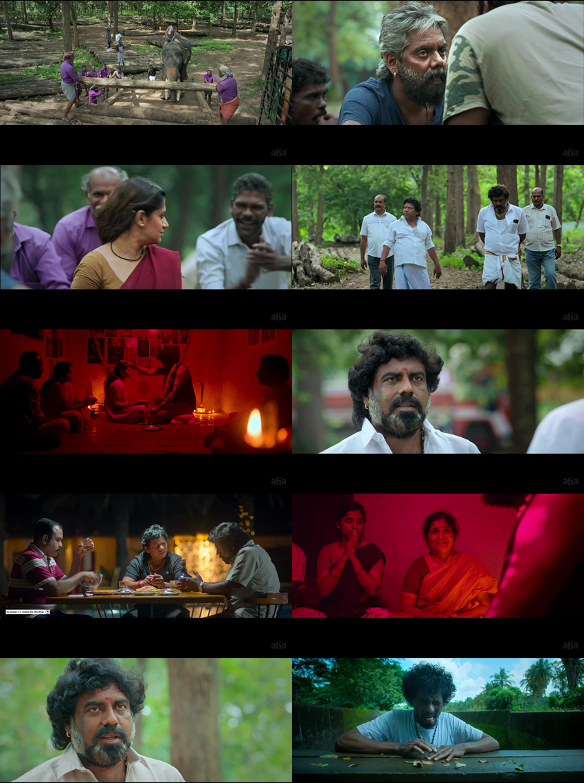 Download The Yellow Elephant (2026) Tamil WEB-DL 480p 720p 1080p