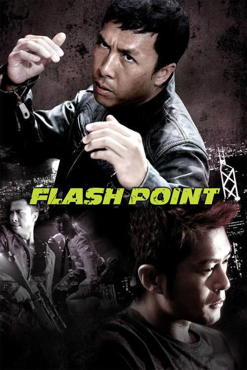 Download Flash Point (2007) Hindi-English BluRay 480p 720p 1080p