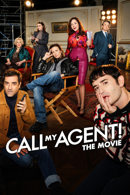 Download Call My Agent! The Movie (2026) Hindi DD5.1 + French WEB-DL - Netflix 480p 720p 1080p