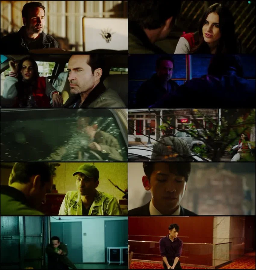 Download The Prince (2014) Hindi-English BluRay 480p 720p 1080p