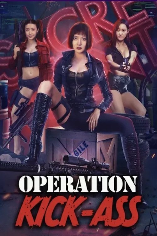 Download Action Team Overlord Flower (2022) Hindi ORG + Chinese WEB-DL 480p 720p 1080p