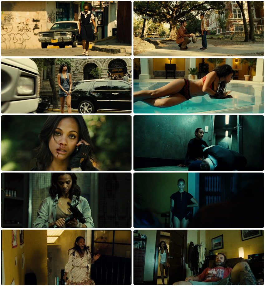 Download Colombiana (2011) Hindi ORG + English BluRay 480p 720p 1080p