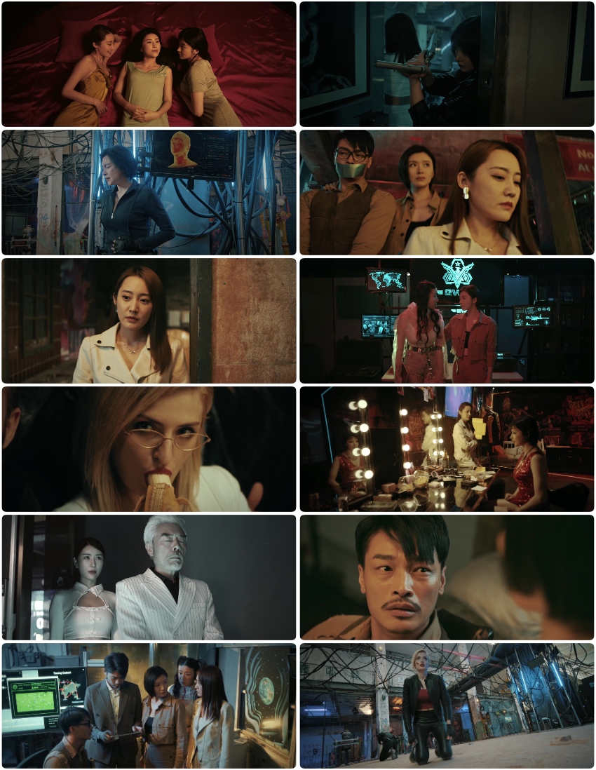 Download Action Team Overlord Flower (2022) Hindi ORG + Chinese WEB-DL 480p 720p 1080p