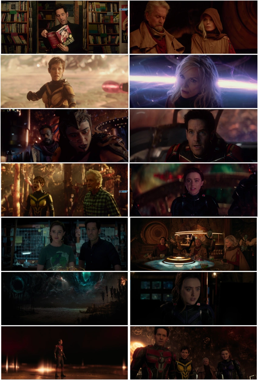 Download Ant-Man and the Wasp: Quantumania (2023) Hindi DD 5.1 – English iMAX WEB-DL 480p 720p 1080p