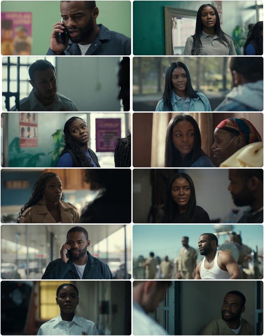 Download Doing Life (2026) Hindi DD5.1 + English WEB-DL - Netflix 480p 720p 1080p